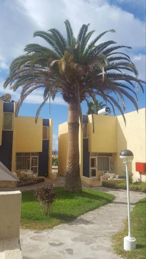 Duplex El Cortijo, Lasamericas Playa de las Americas  Zewnętrze zdjęcie